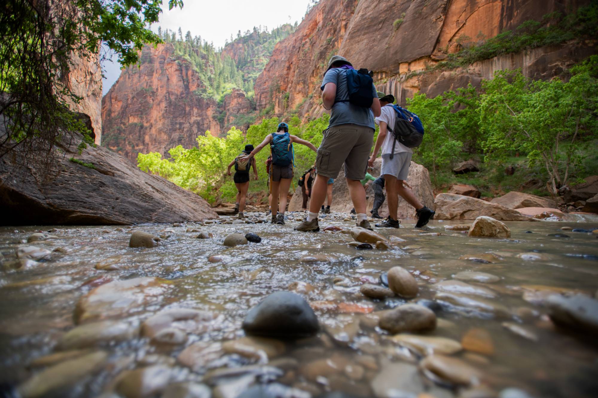 Following &#8216;The Peters&#8217; adventurous lead, students walk through shallow waters at Zion National Park to go climb a giant rock.